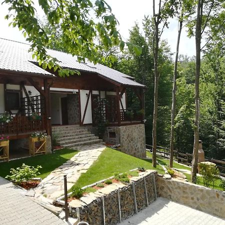 VăliugCasa Goznaアパートメント エクステリア 写真