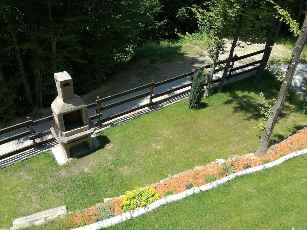 VăliugCasa Goznaアパートメント エクステリア 写真