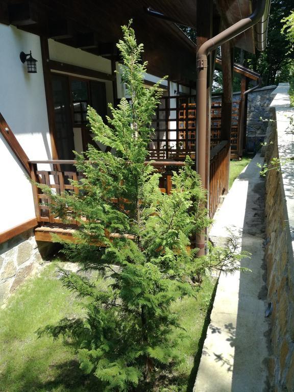 VăliugCasa Goznaアパートメント エクステリア 写真