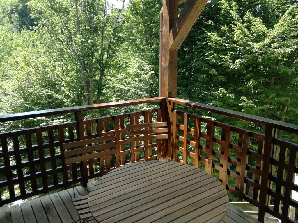 VăliugCasa Goznaアパートメント エクステリア 写真