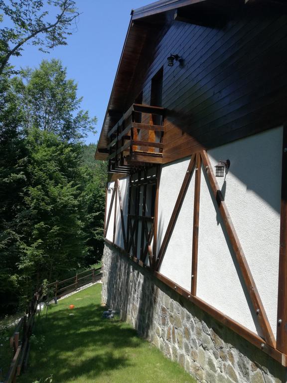 VăliugCasa Goznaアパートメント エクステリア 写真