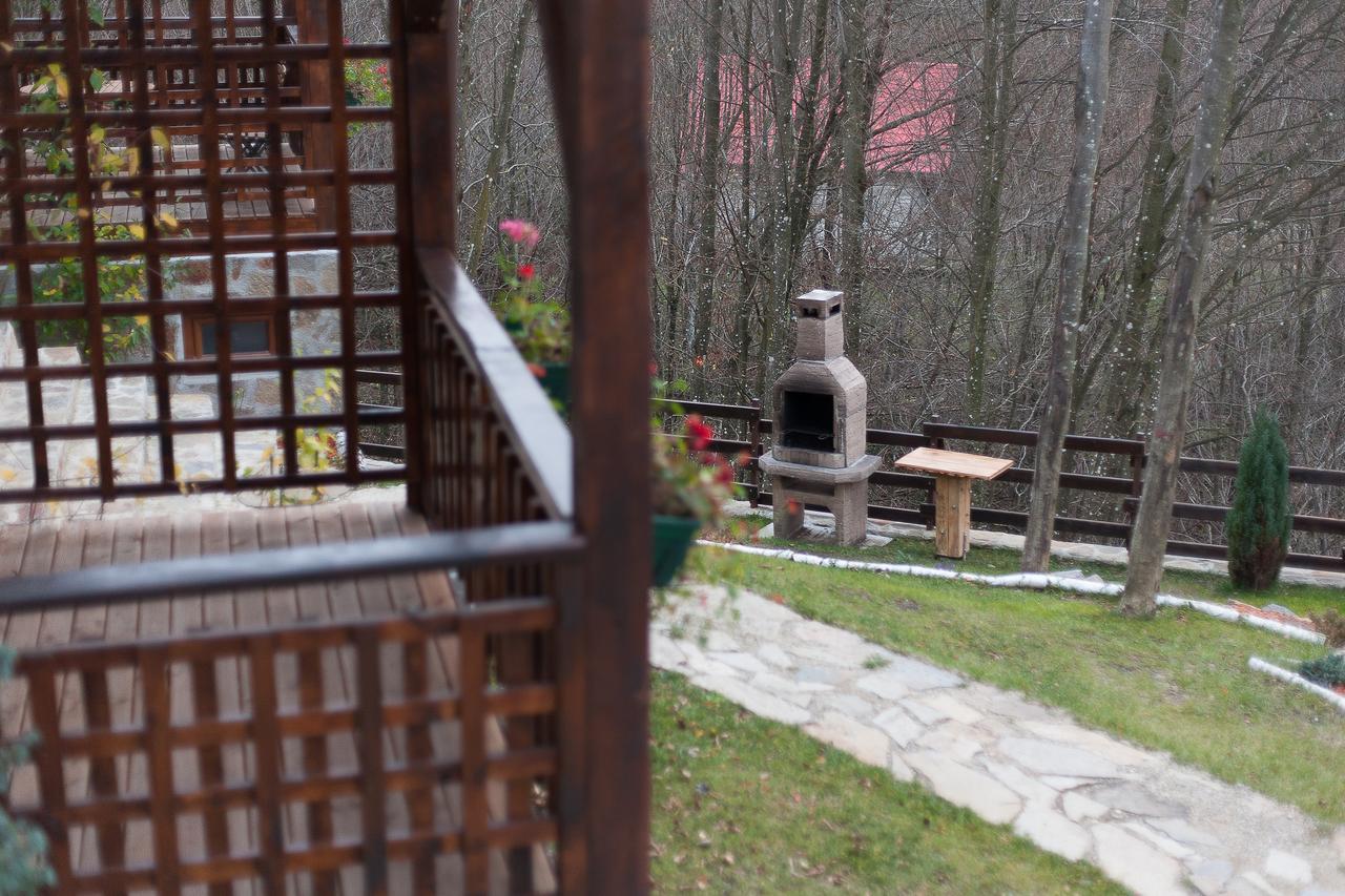 VăliugCasa Goznaアパートメント エクステリア 写真