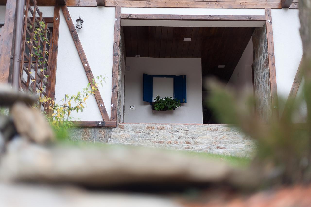 VăliugCasa Goznaアパートメント エクステリア 写真