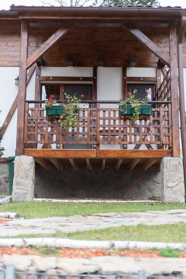 VăliugCasa Goznaアパートメント エクステリア 写真