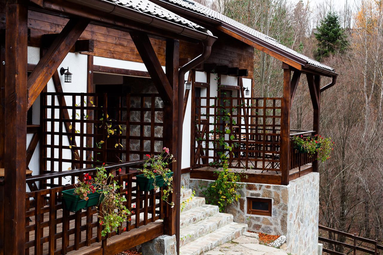 VăliugCasa Goznaアパートメント エクステリア 写真