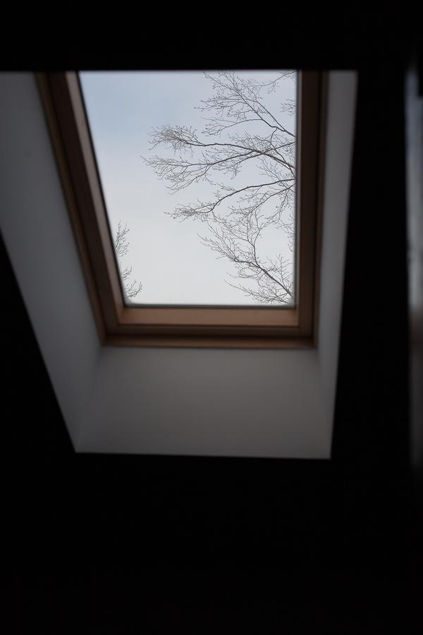 VăliugCasa Goznaアパートメント エクステリア 写真