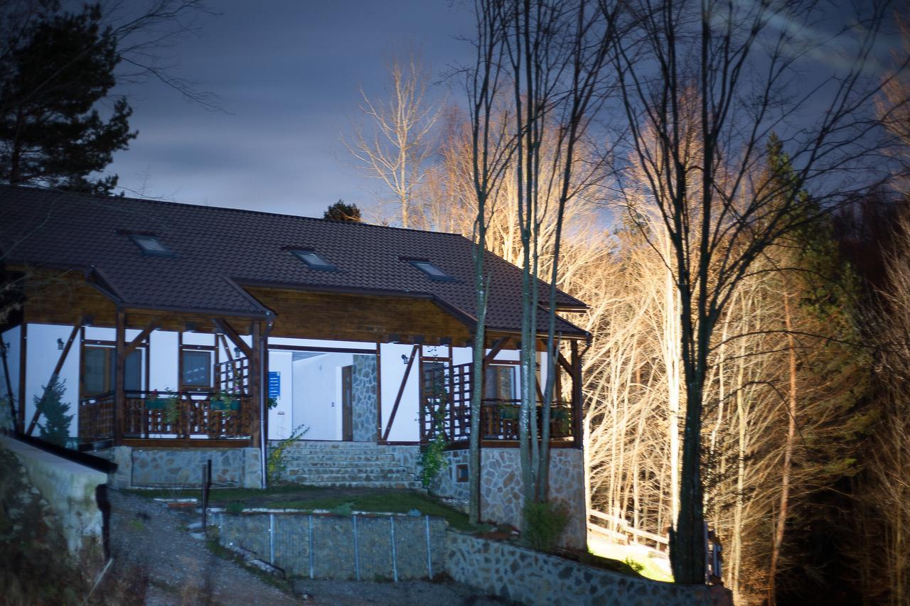 VăliugCasa Goznaアパートメント エクステリア 写真