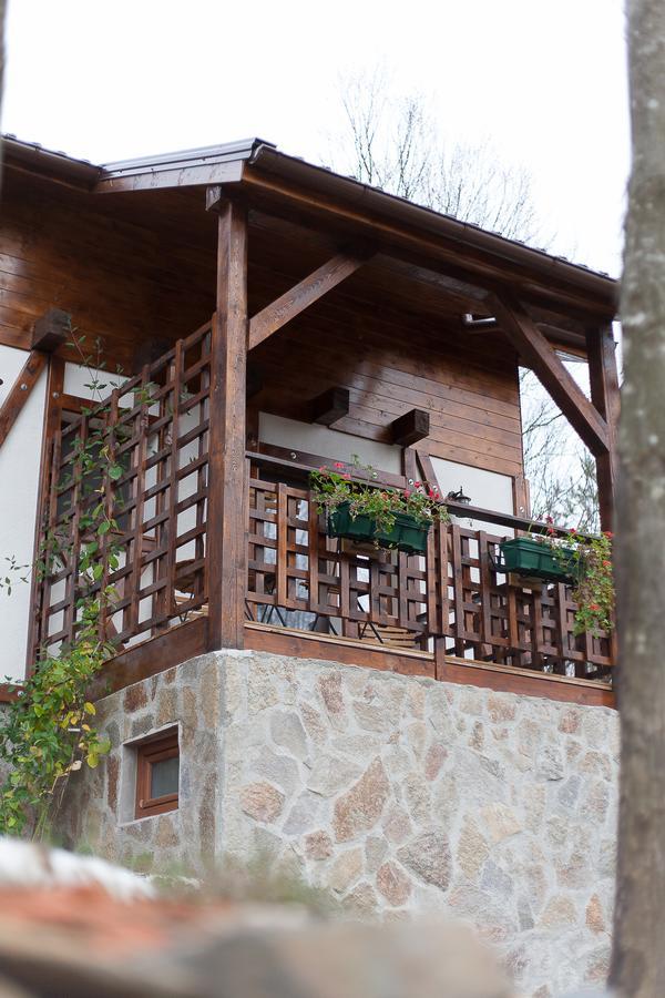 VăliugCasa Goznaアパートメント エクステリア 写真