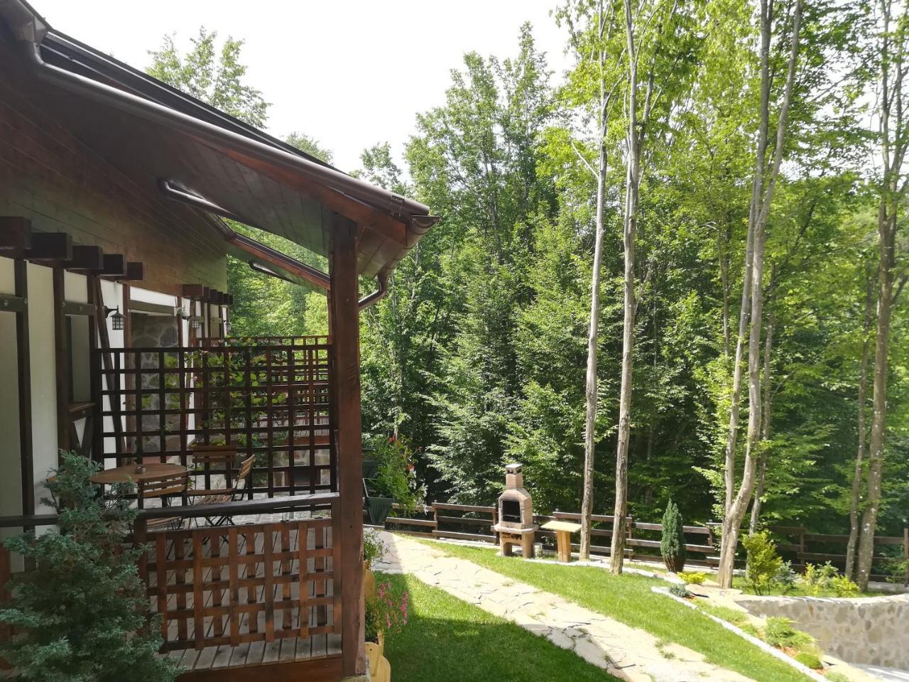 VăliugCasa Goznaアパートメント エクステリア 写真