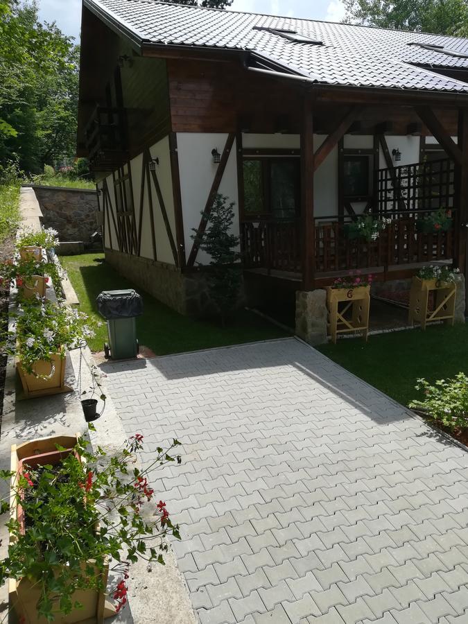 VăliugCasa Goznaアパートメント エクステリア 写真