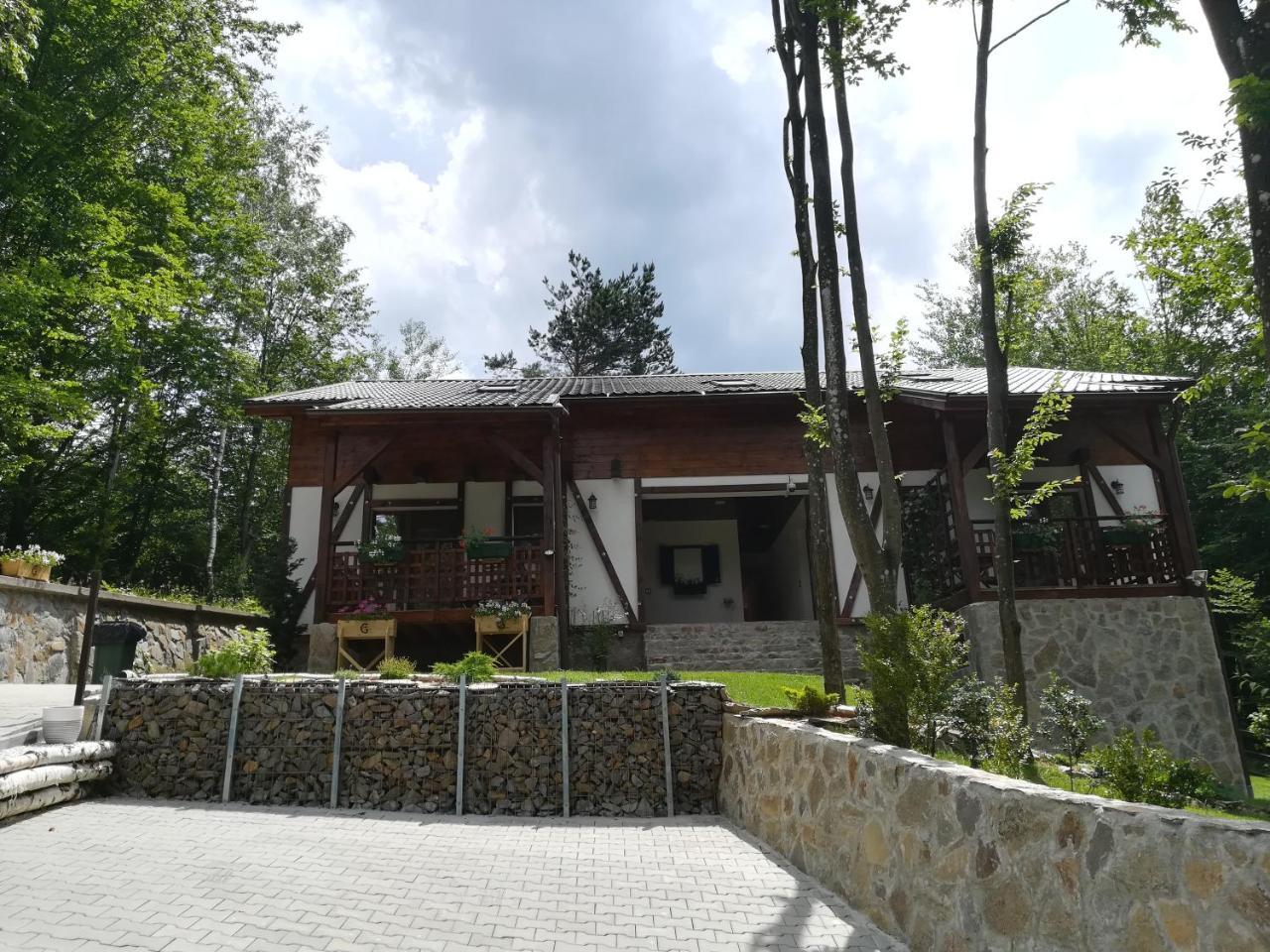 VăliugCasa Goznaアパートメント エクステリア 写真