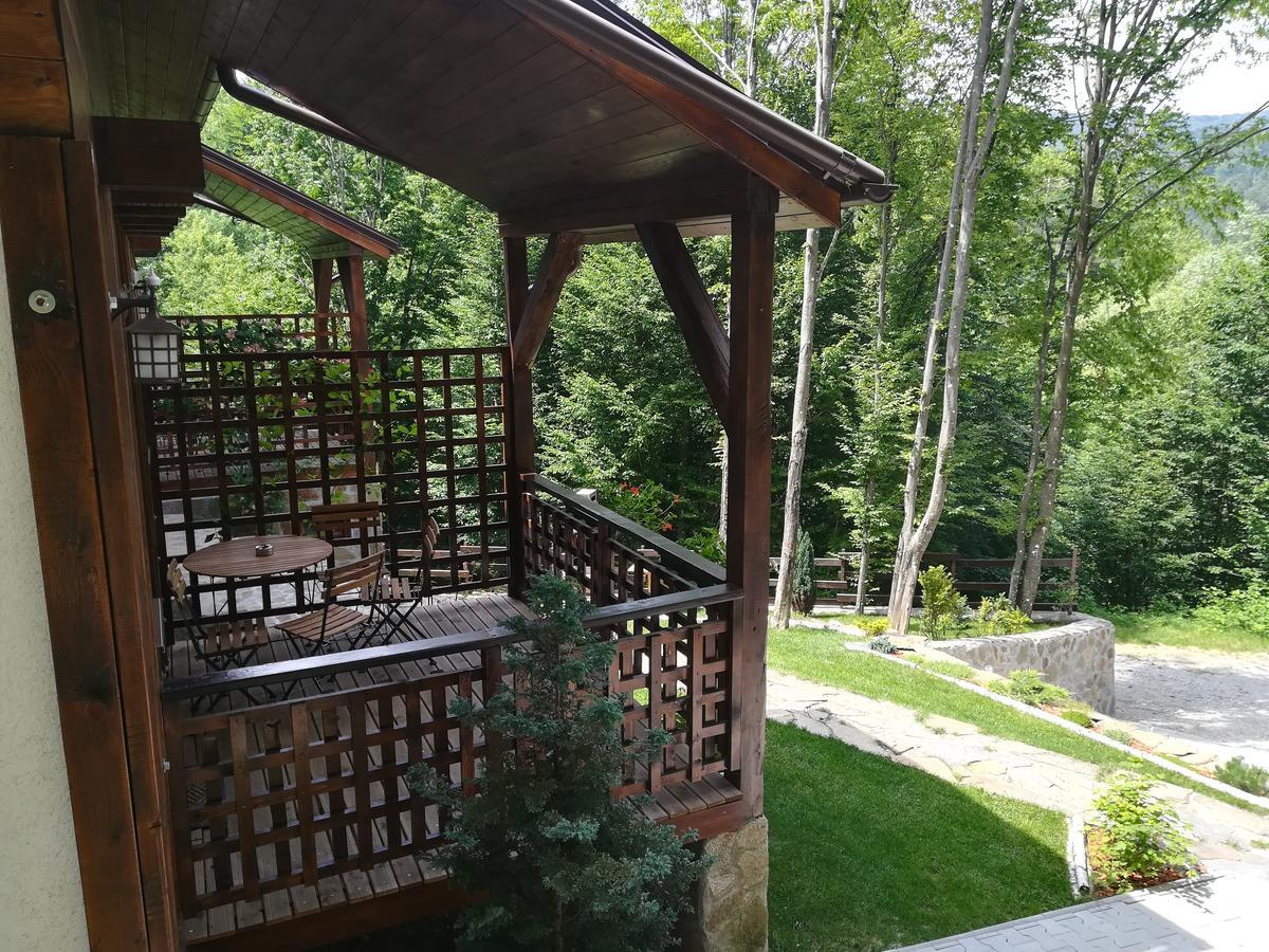 VăliugCasa Goznaアパートメント エクステリア 写真