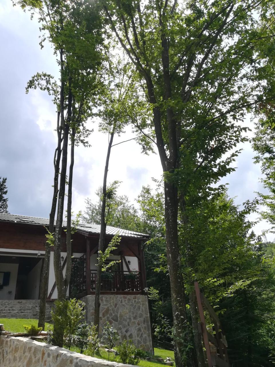VăliugCasa Goznaアパートメント エクステリア 写真