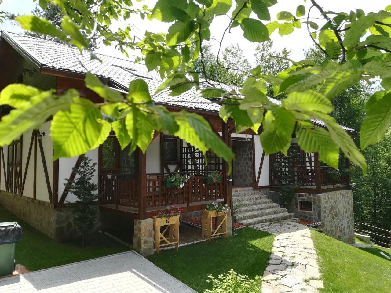 VăliugCasa Goznaアパートメント エクステリア 写真