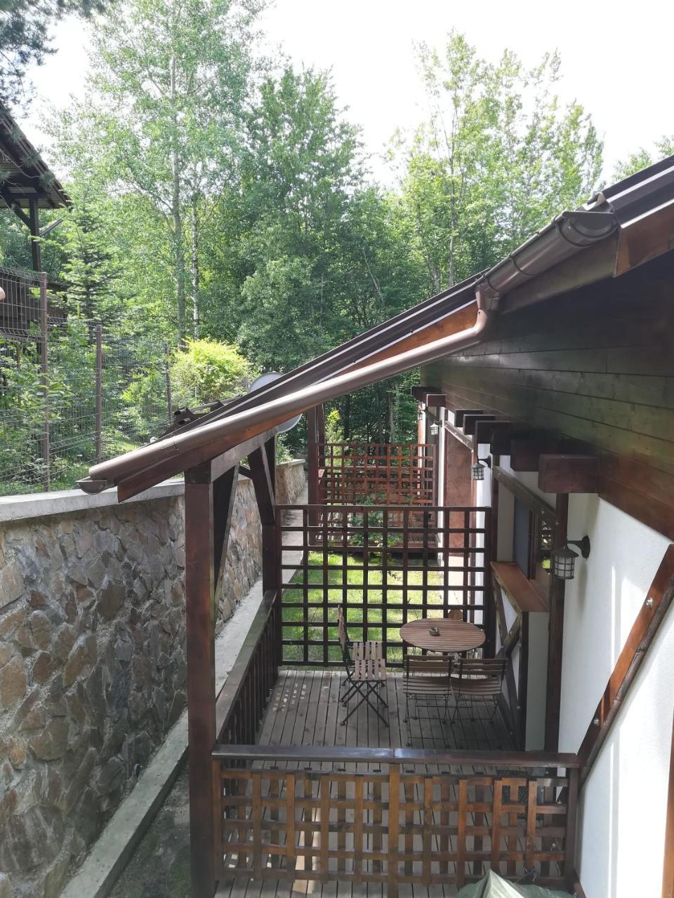 VăliugCasa Goznaアパートメント エクステリア 写真
