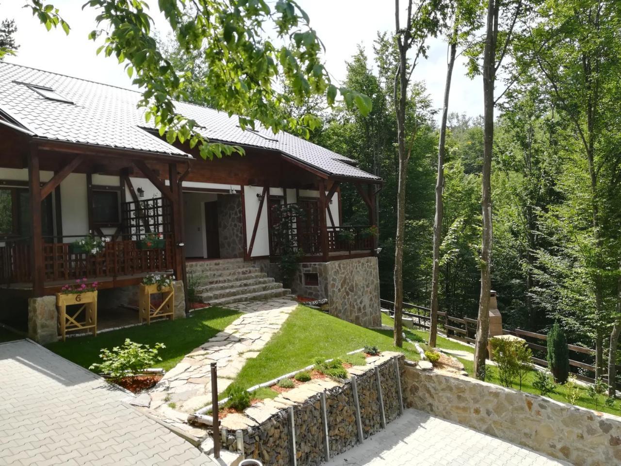 VăliugCasa Goznaアパートメント エクステリア 写真