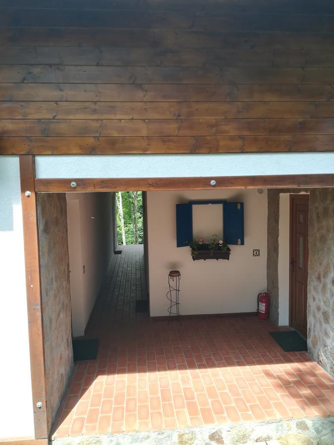 VăliugCasa Goznaアパートメント エクステリア 写真